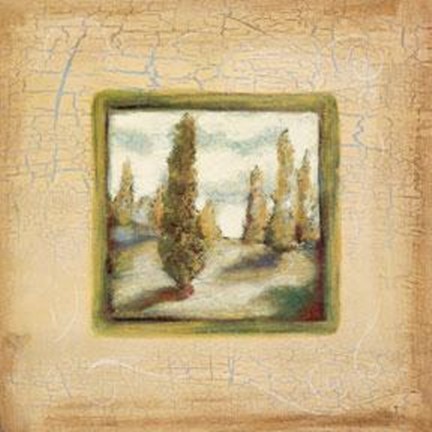 Framed Summer Light I Print