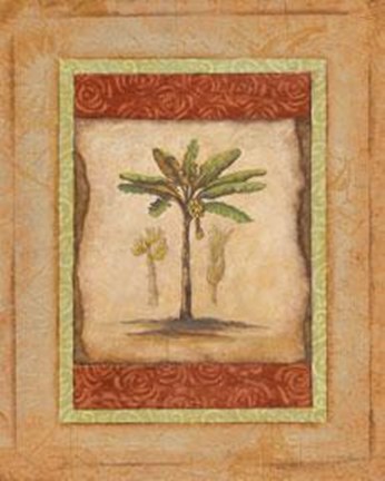 Framed Palm Botanical Study I - Special Print