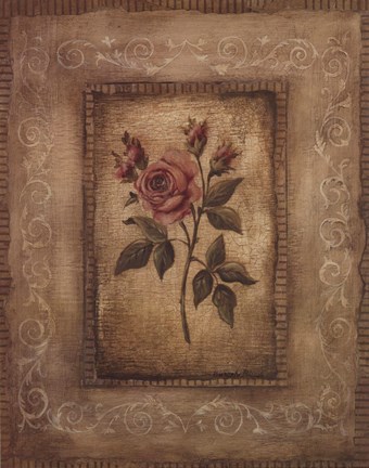 Framed Savin Rose - Mini Print