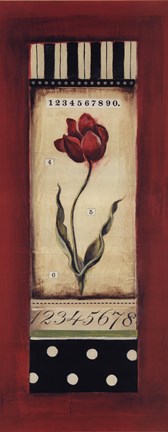 Framed Belgian Tulip II Print
