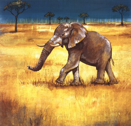 Framed On The Plains III Print