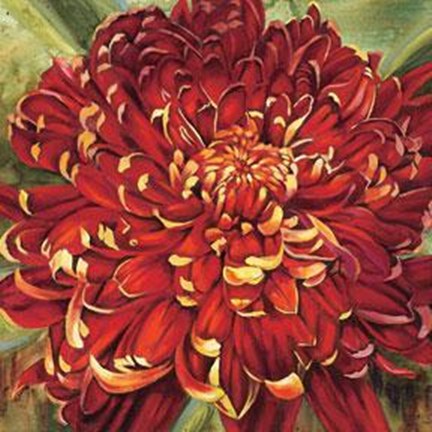 Framed Chrysanthemum Print