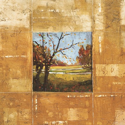 Framed Terranova I Print