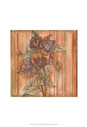 Framed Woven Whimsey II Print