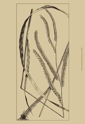 Framed Grass Roots I Print