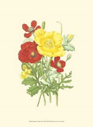 Framed Summer Garden II Print