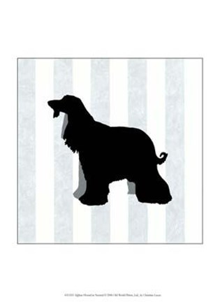 Framed Afghan Hound In Neutral Print