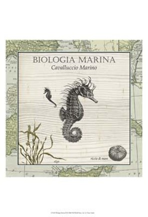 Framed Biologia Marina III Print