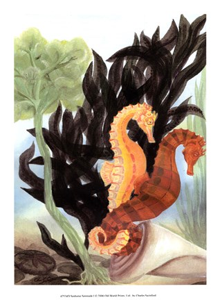 Framed Seahorse Serenade I Print