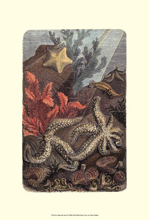 Framed Under The Sea I Print