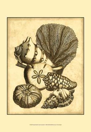 Framed Neutral Shell Coral Collection I Print