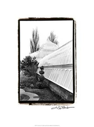 Framed Conservatory IV Print