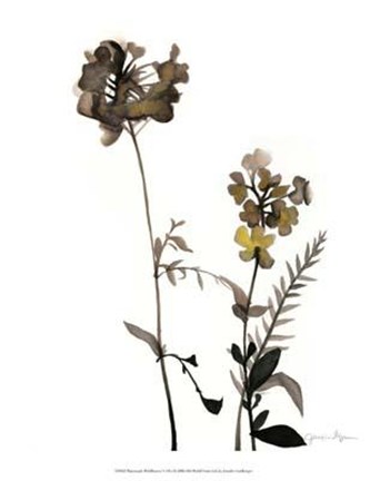 Framed Watermark Wildflowers V Print