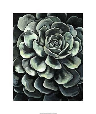 Framed Lunar Succulent II Print