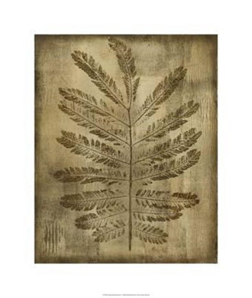 Framed Sepia Drenched Fern I Print