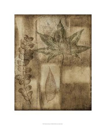 Framed Impressed On Patina III Print