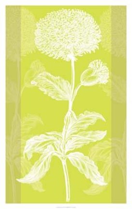 Framed Efflorescence I Print