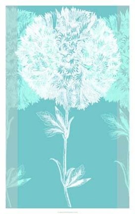 Framed Efflorescence II Print