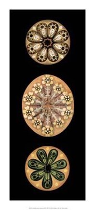 Framed Kaleidoscope Anemone II Print