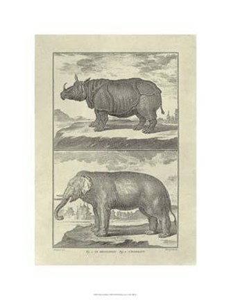 Framed Elephant Rhino Print