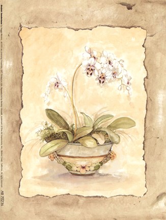 Framed Orchid Sanderiana Print