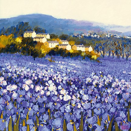 Framed Champs D&#39;iris, Provence Print