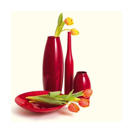 Framed Coromandel I Print