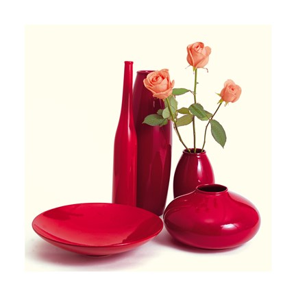 Framed Coromandel III Print