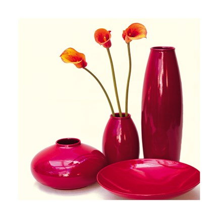 Framed Coromandel IV Print