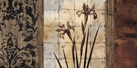 Framed Bodhi II Print