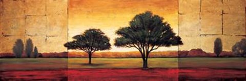 Framed Solo II Print