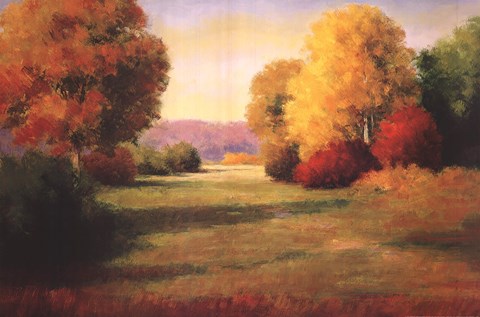 Framed Morning Light I Print