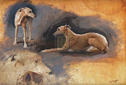Framed Whippets Study Print