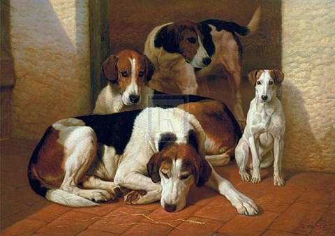 Framed Foxhounds and a Terrier Print