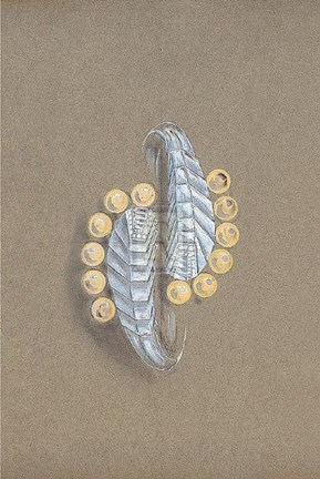 Framed Jewellery Designs V Print
