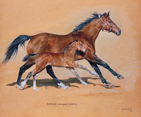 Framed Hasili with Foal Print