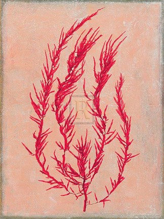 Framed Coral Island III Print