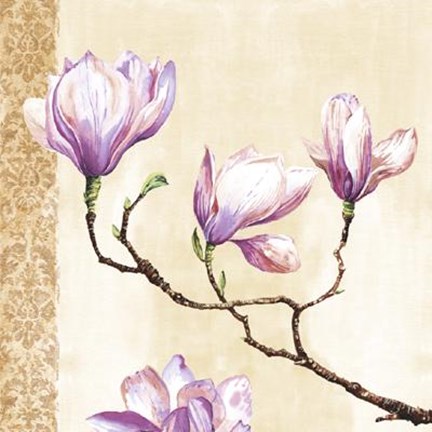 Framed Magnolias On Pink Print