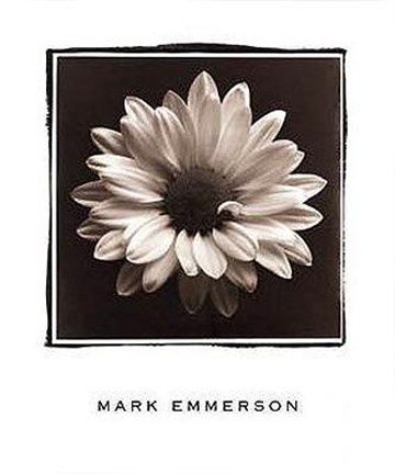 Framed Mary Ann (Daisy), Bermuda Print