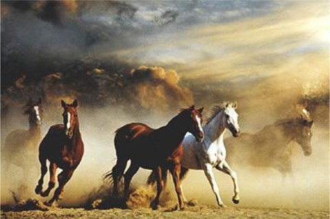 Framed Stampede Print