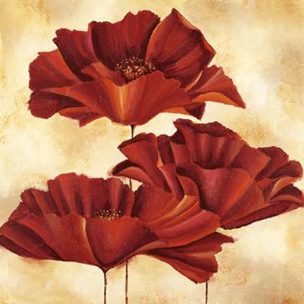 Framed Three Poppies I Print