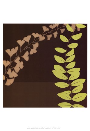 Framed Serpentine Vines III Print