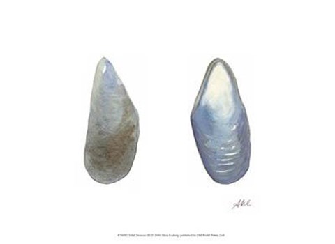 Framed Tidal Treasure III Print