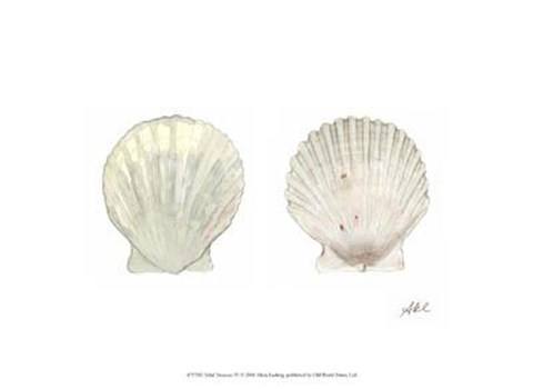 Framed Tidal Treasure IV Print