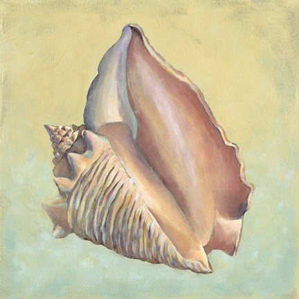 Framed Sand And Sea III Print