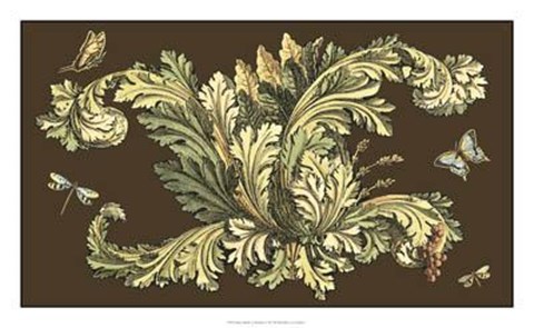 Framed Nature&#39;s Splendor On Chocolate II Print