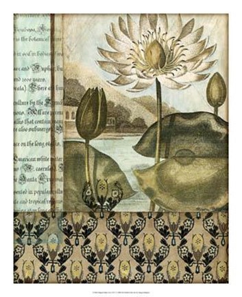 Framed Elegant Water Lily I Print