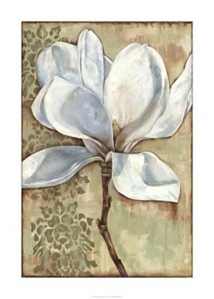 Framed Magnolia Majesty I Print