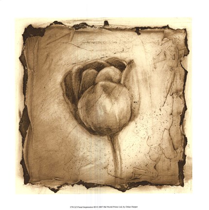 Framed Floral Impression III Print