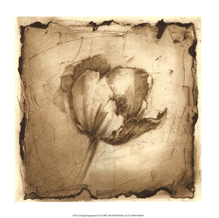 Framed Floral Impression IV Print